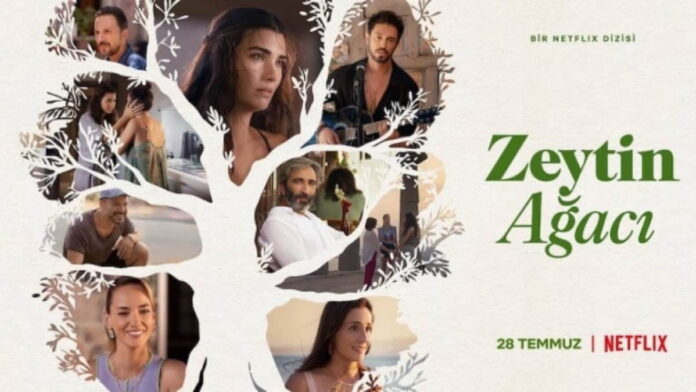 The first trailer of Netflix's new Turkish series Zeytin Ağacı has been released!
